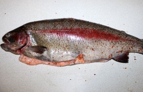 Еще разок хорошенько промываем и, складывая бумажные полотенца, обсушиваем. Смешиваем соевый соус, растительное масло, выжатый из половинки  лимона  сок (2-3 ч. ложки) – и этой смесью натираем всю рыбину снаружи и внутри. И посыпаем – тоже везде – смесью свежемолотых перцев и соли.
 