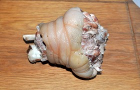 Варим еще около часа практически до готовности. Когда остынет, вынимаем, убираем шпагат (нитки, марлю). Включаем духовку на 200°. Форму смазываем растительным маслом. Рульку обсушиваем. Кладем ее в форму и отправляем в духовку на 15-20 минут. 