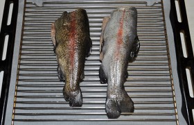 За 40-45 минут до ужина включаем духовку на 200°. Достаем рыбу, тщательно промокаем ее снаружи и внутри бумажными полотенцами и смазываем растительным маслом. Тем же маслом смазываем решетку, которую кладем на бортики покрытого пергаментом противня. Выкладываем форелей и ставим запекаться в духовке на 25-30 минут.