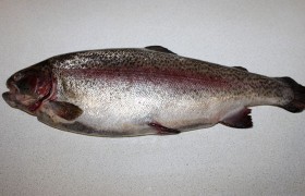 Вот такая у нас непотрошеная рыбка, и мы тратим 7-10 минут на простые действия: сначала промываем ее, затем счищаем чешую (ее немного), надрезаем брюшко, потрошим и выскабливаем; удаляем плавники. 